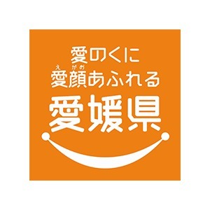 愛媛県 企画振興部 デジタル戦略局 デジタルシフト推進課