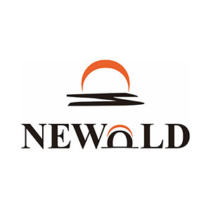 株式会社NEWOLD CAPITAL
