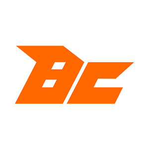株式会社BUDDICA