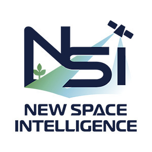 株式会社New Space Intelligence
