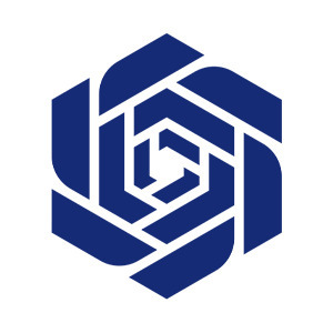 Vergil Insurance株式会社