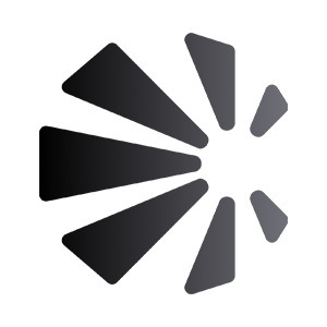 Pinnint Inc.