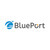 株式会社BluePort