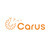 株式会社Carus Holdings