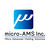 株式会社micro－AMS