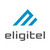株式会社Eligitel