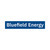 Bluefield Energy株式会社
